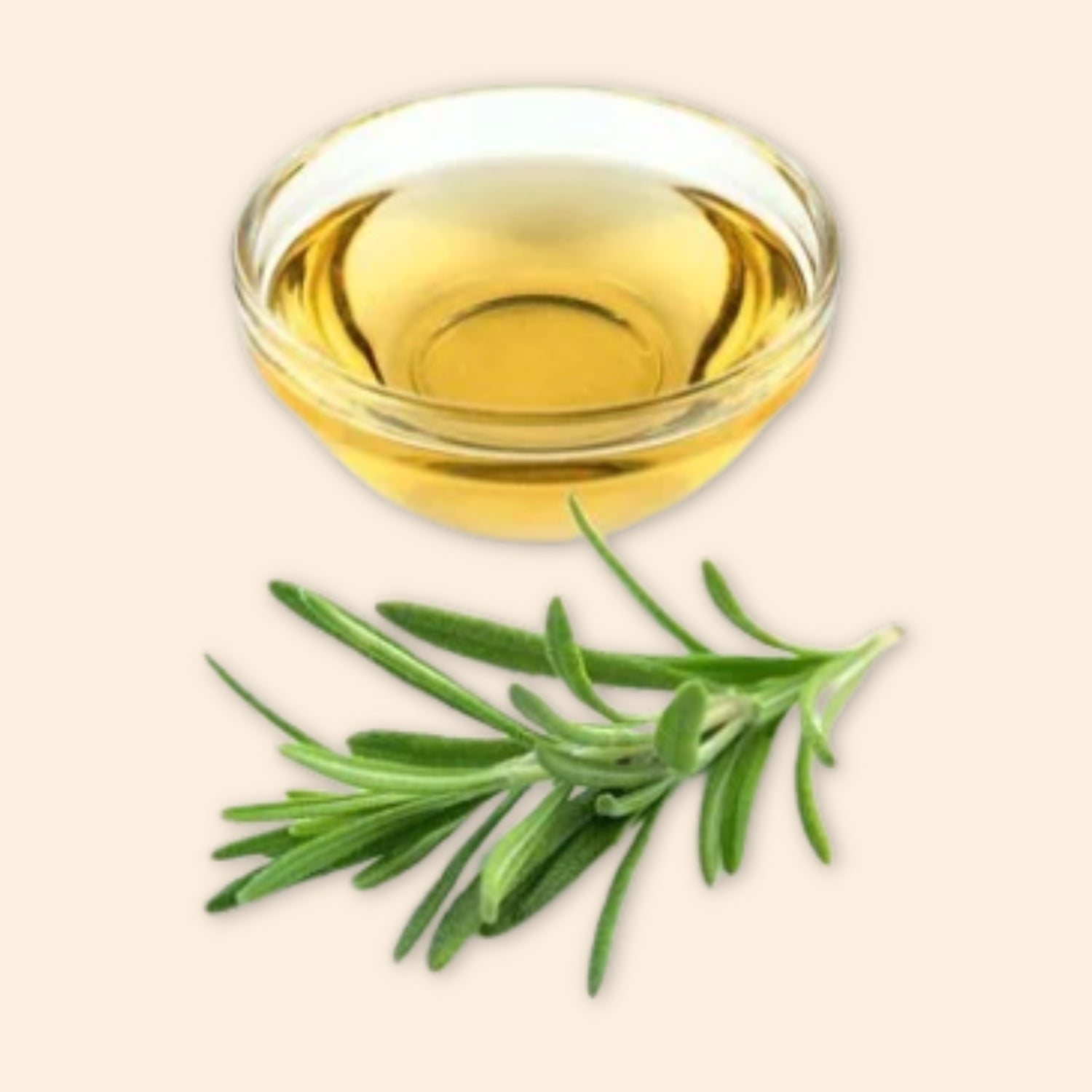 Rosemary Extract Rosemary Extract